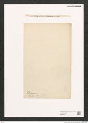 Navicula sp. (de-Toni-Nr.: Genus 1) Zeichnungen Sammlung Grunow (NHMW-BOT-W0368207)